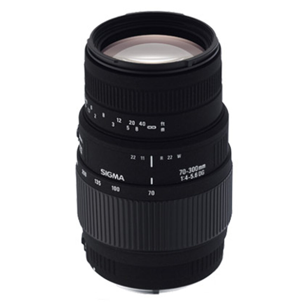 Sigma AF 70-300 f/4-5.6 DG Macro per Sony